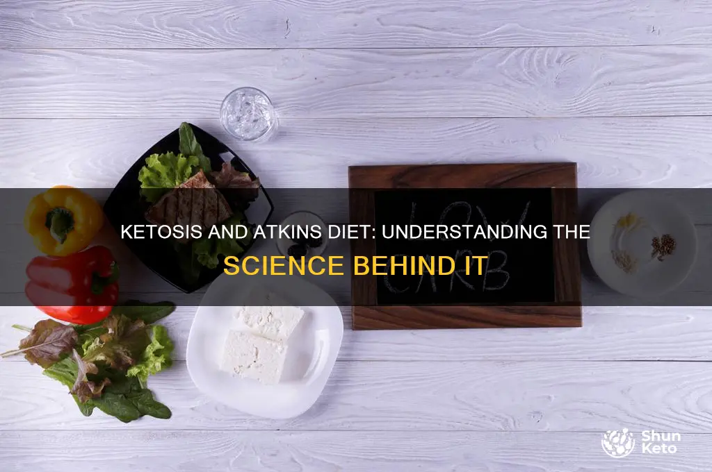 what is ketosis atkins diet
