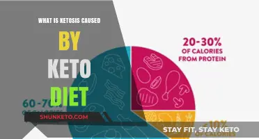 Understanding Ketosis: How the Keto Diet Triggers Fat-Burning Mode