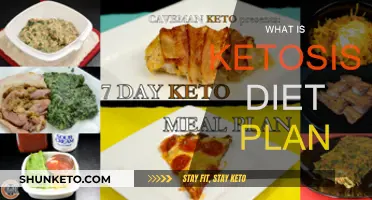 Ketosis Diet Plan: A Comprehensive Guide to Ketosis