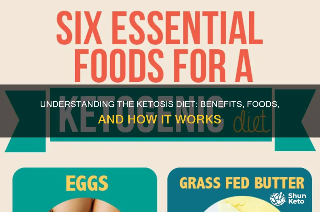 what is ketosis diet