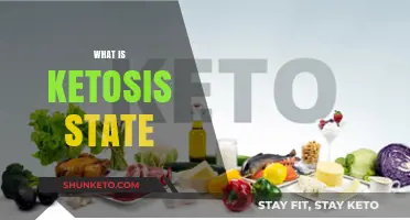 Understanding Ketosis: How Your Body Burns Fat for Energy