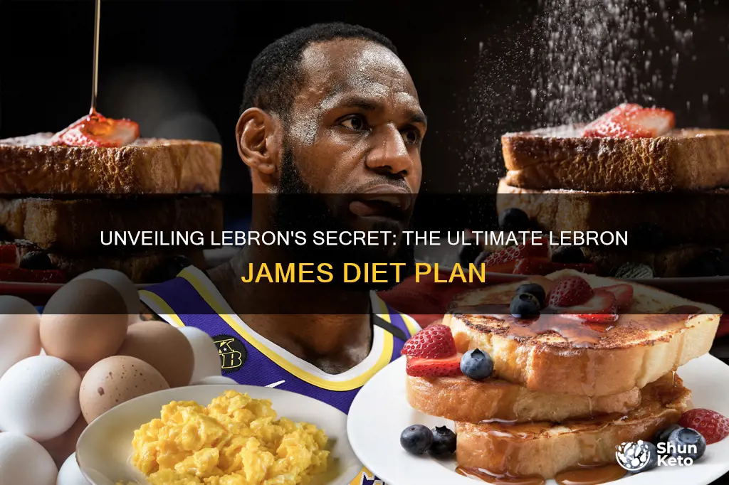 what is lebron james diet plan