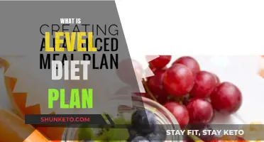 Unlocking the Secrets of a Balanced Level Diet Plan