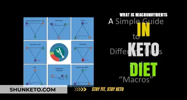 Understanding Macronutrients: The Key to a Successful Keto Diet Plan