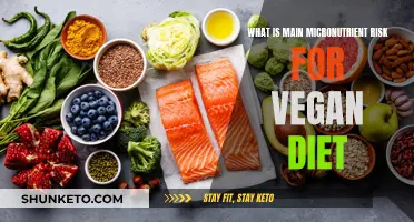 Vegans, Beware: Micronutrient Deficiency Risks You Need to Know