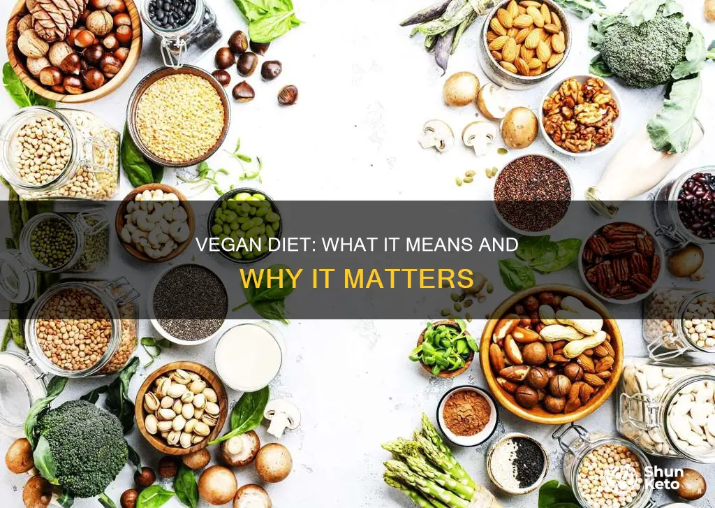 what is meant by vegan diet