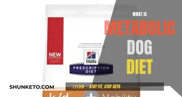 Metabolic Dog Diet: Understanding Your Pup's Energy Needs