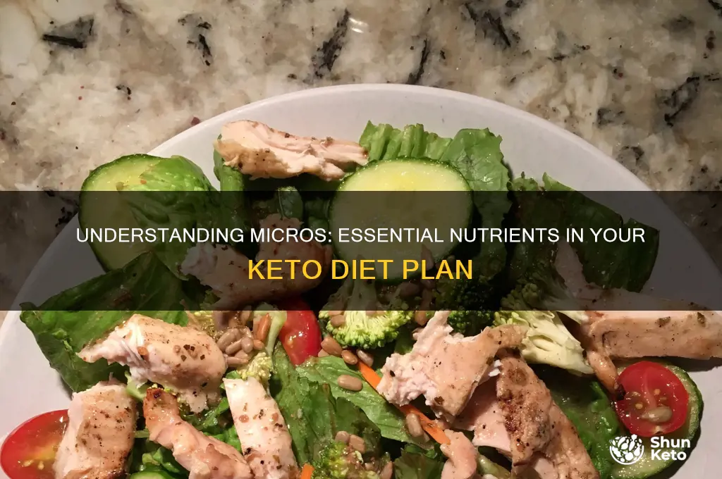 what is micros in keto diet