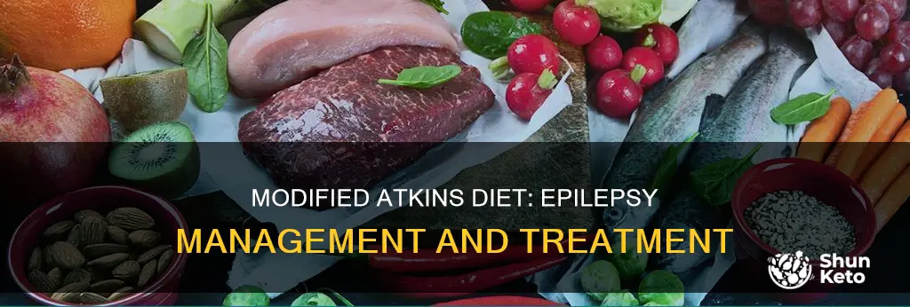what is modified atkins diet for epilepsy