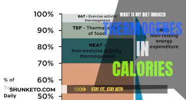 Diet-Induced Thermogenesis: Unlocking Calorie Burn Potential