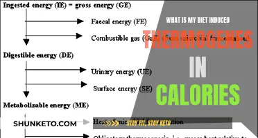 Thermogenesis and Calories: How Your Diet Impacts Energy