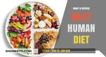 Nutrition Basics: What Your Body Needs Daily