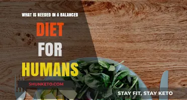 Nutrition Basics: Balanced Diet Essentials for Humans