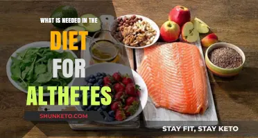 Nutrition for Athletes: Fueling Performance with Diet