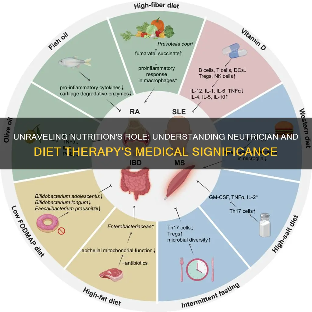 what is neutrician and diet therapy meaning in medical term