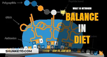 Nitrogen Balance: Understanding Diet's Nitrogen Equation