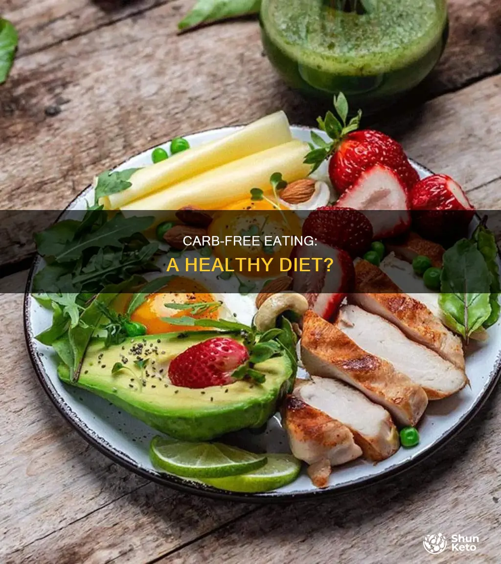 what is no carbs diet
