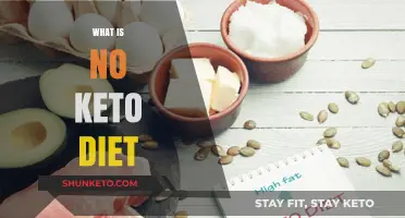 Understanding the No-Keto Diet: A Comprehensive Guide to Non-Ketogenic Eating