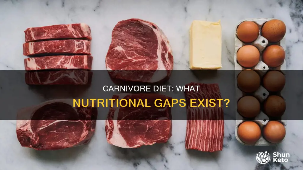 what is nutritionally missing from the carnivore diet
