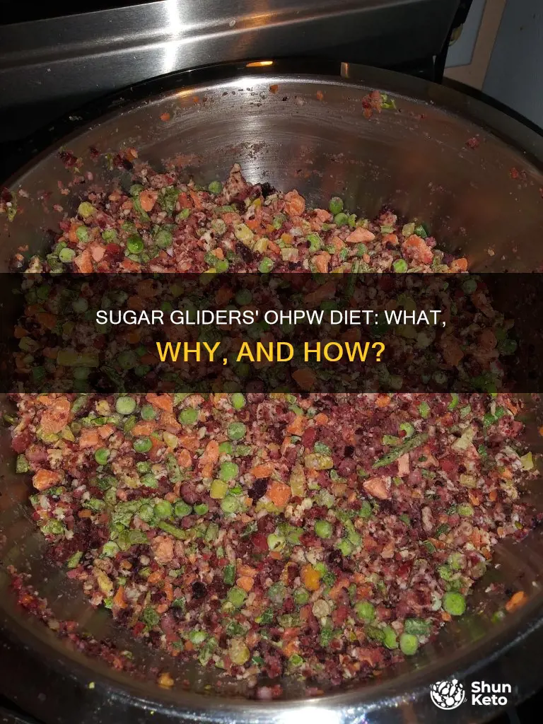 what is ohpw diet for sugar gliders