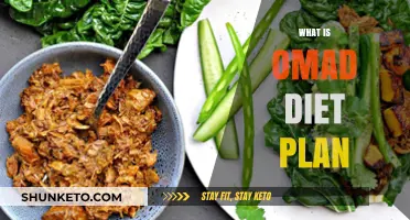 Unraveling the OMAD Diet: Fasting for Weight Loss