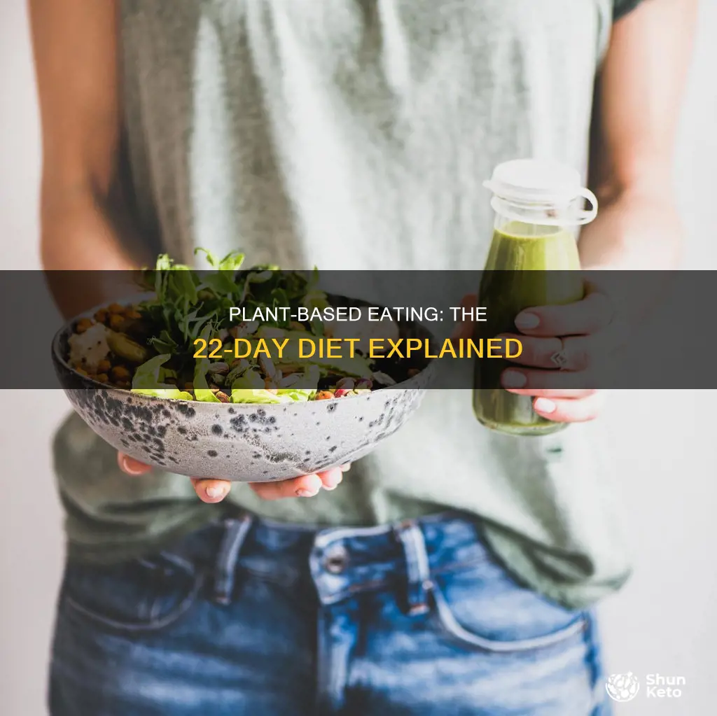 what is on 22 day diet
