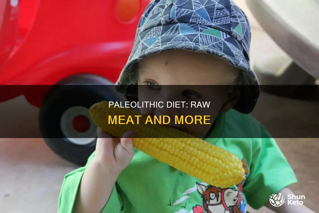 what is paleolithic diet does it consist of raw meat