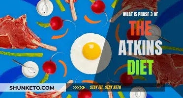 Navigating Phase 3 of the Atkins Diet: What to Expect