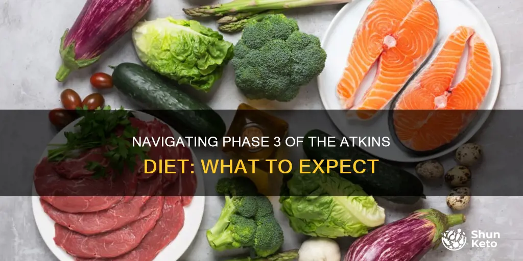 what is phase 3 of the atkins diet