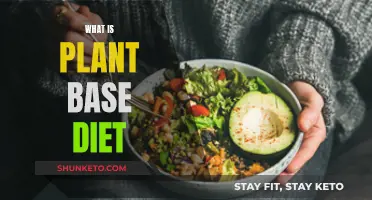 Plant-Based Diet: Eating for a Healthier You