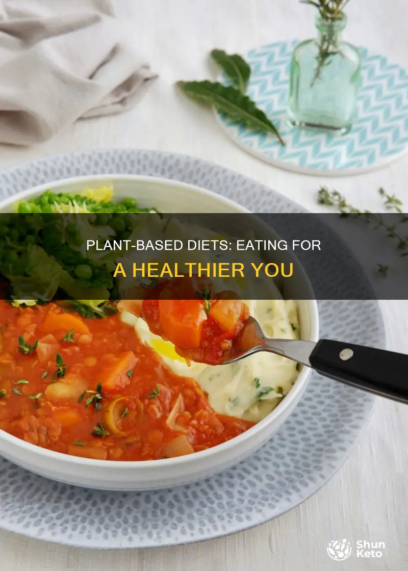 what is platn based diet