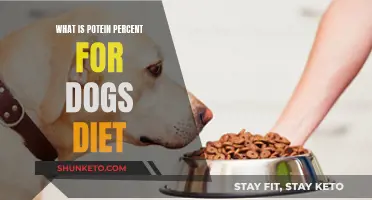 Protein-Rich Dog Diet: Understanding the Ideal Protein Percentage