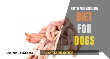 Understanding Raw Prey Model Diet for Dogs