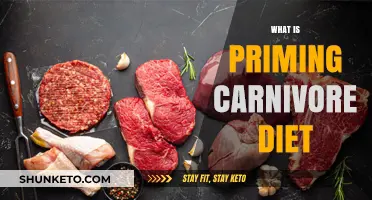 Carnivore Diet: Priming Your Body for Success