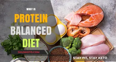Protein-Rich Diet: Balancing Your Meals
