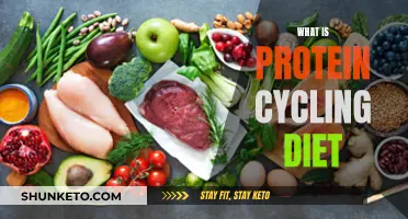 Protein Cycling Diet: What, Why, and How?
