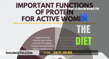 Protein Power: Why We Need It