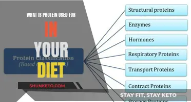 Protein Power: What's Its Role in Your Diet?