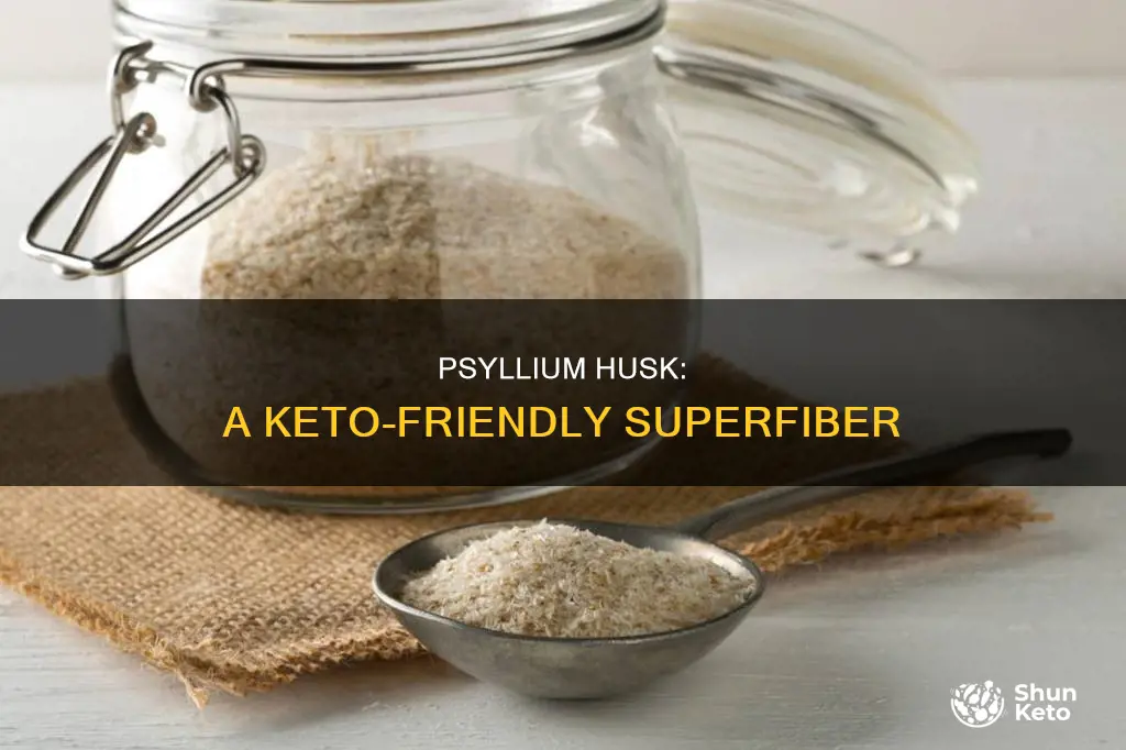 what is psyllium husk used for in keto