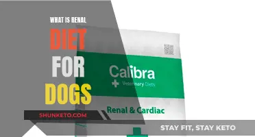 Renal Diet for Dogs: What You Need to Know