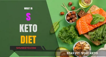 Understanding the Keto Diet: A Beginner's Guide to Low-Carb Eating
