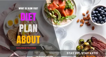 Slim Fast Diet Plan: Quick Weight Loss or Healthy Lifestyle?