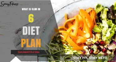 Unveiling the Secrets of the Slim in 6 Diet Plan: A Comprehensive Guide