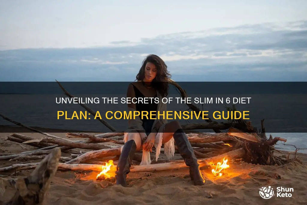 what is slim in 6 diet plan