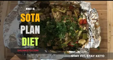 Sota Plan Diet: A Comprehensive Guide to Healthy Eating