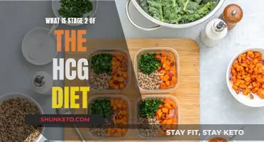 Understanding the HCG Diet: Stage 2 Strategies