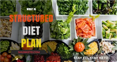 Understanding Structured Diet Plans: A Comprehensive Guide