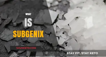 Understanding Subgenix: A Comprehensive Guide to Its Uses and Benefits
