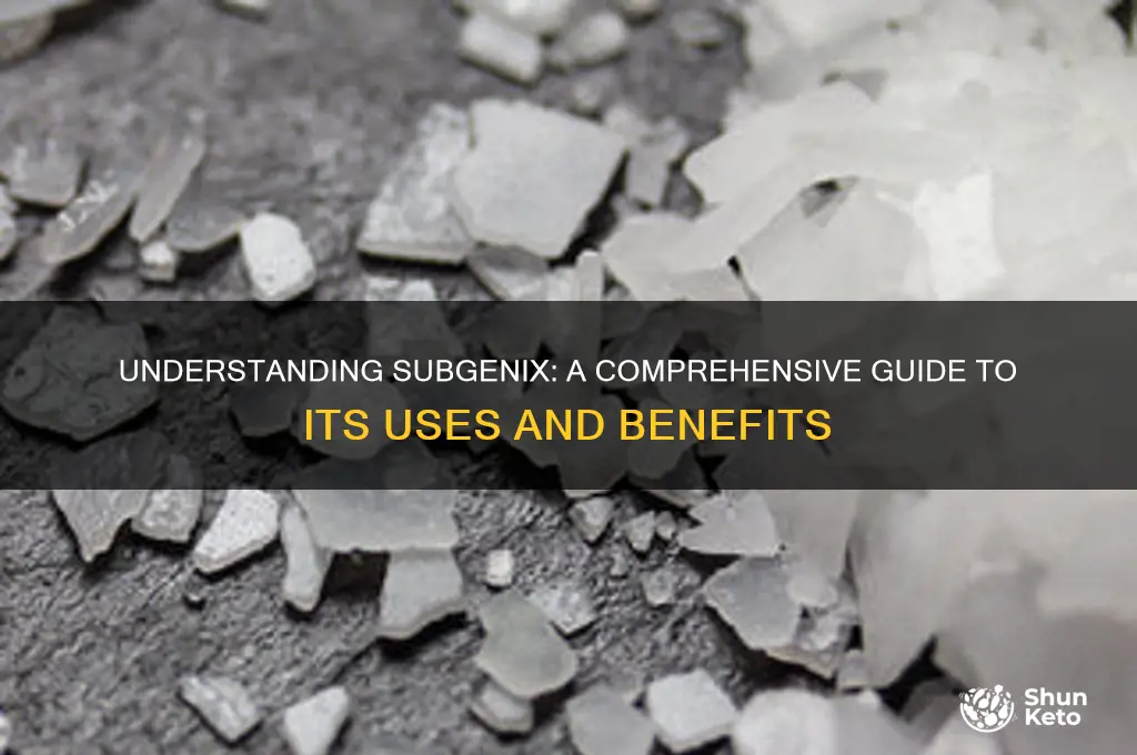 what is subgenix