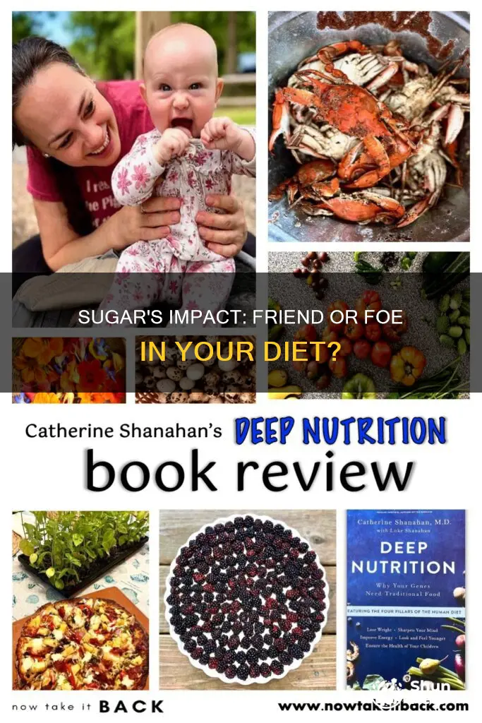 what is sugar on the diet of man